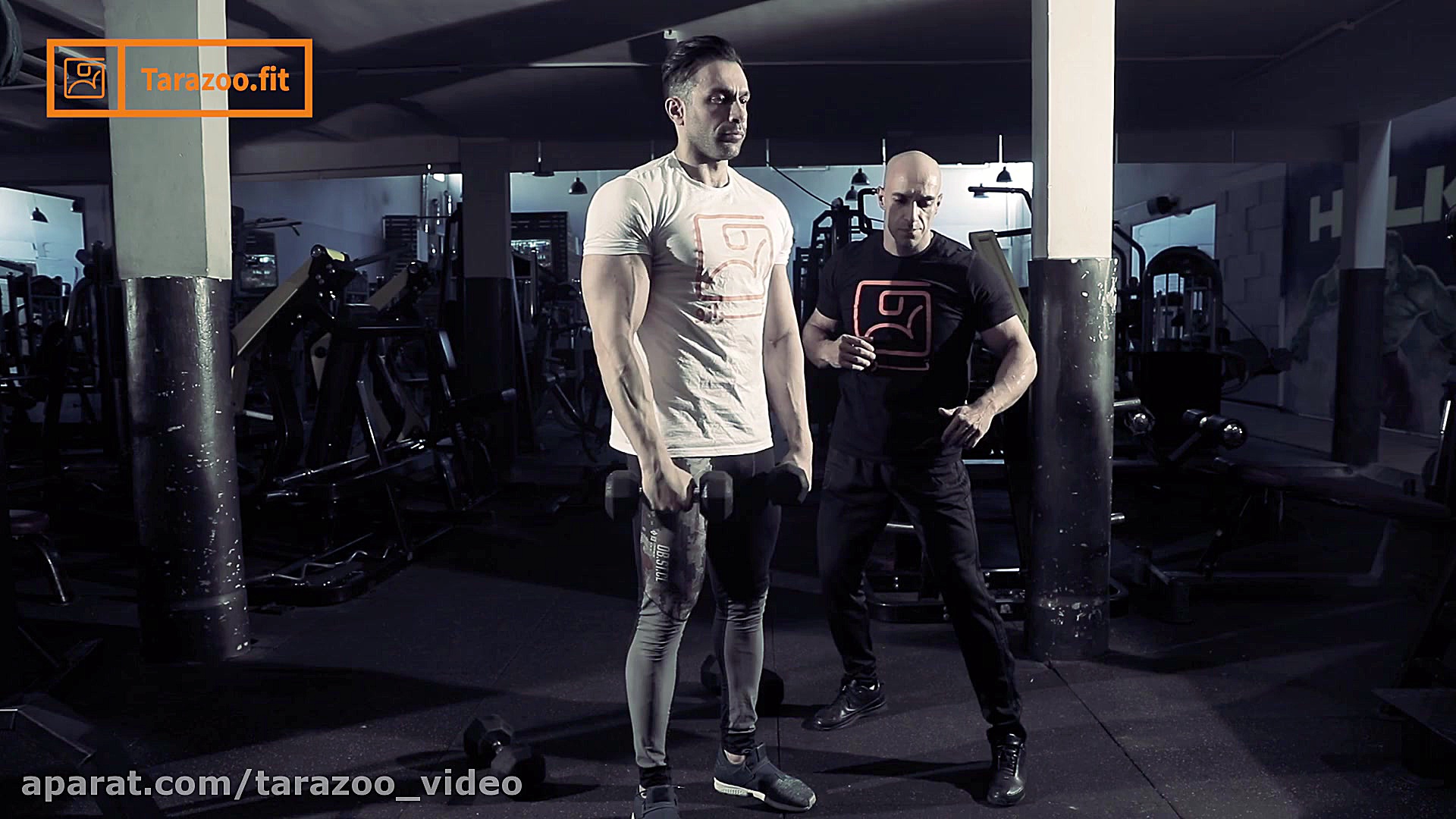 سرشانه نشر با دمبل از جلو متنا...