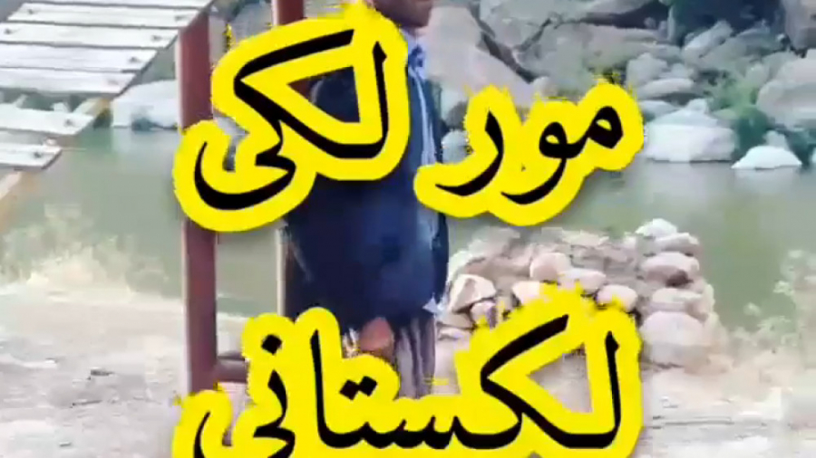 مور لکی  مور  لکستان  قوم لک...