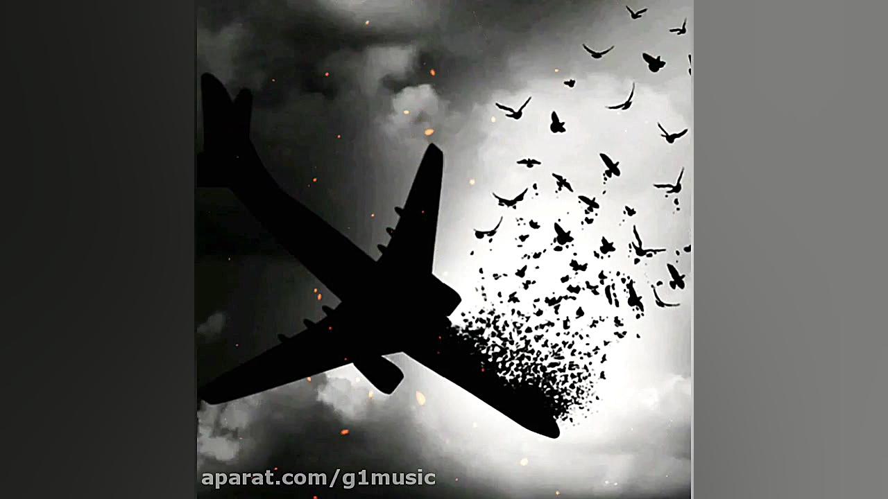 تسلیت به خانواده سانحه هوایی پ...