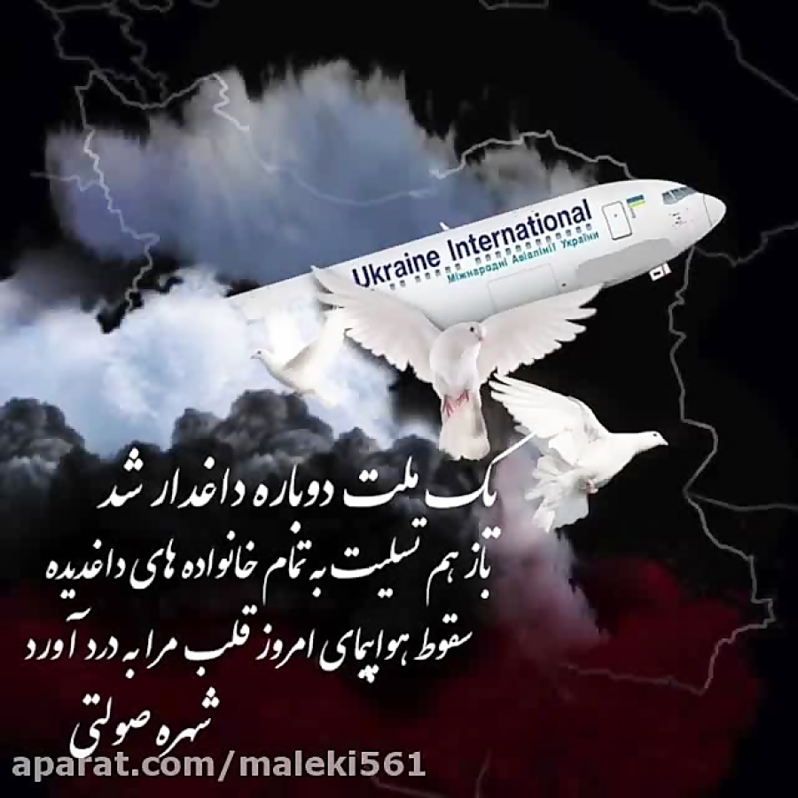 سقوط هواپیمای اوکراینی