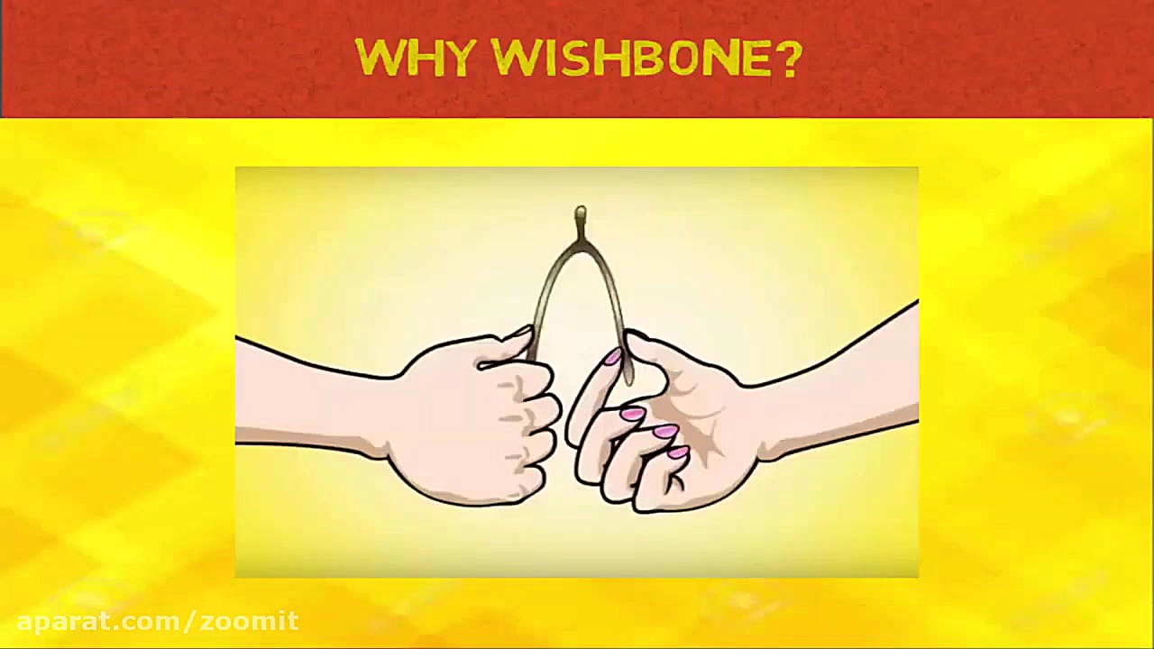 سیستم فنربندی مستقل