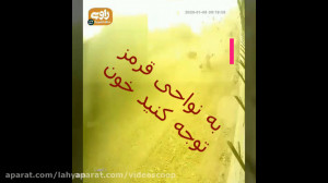 نمایش آمیخته شدن گوشت و خون با...