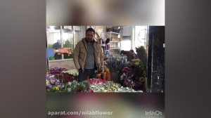 ولاگ بازار گل محلاتی