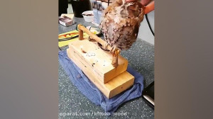 حیوانات خانگی بامزه