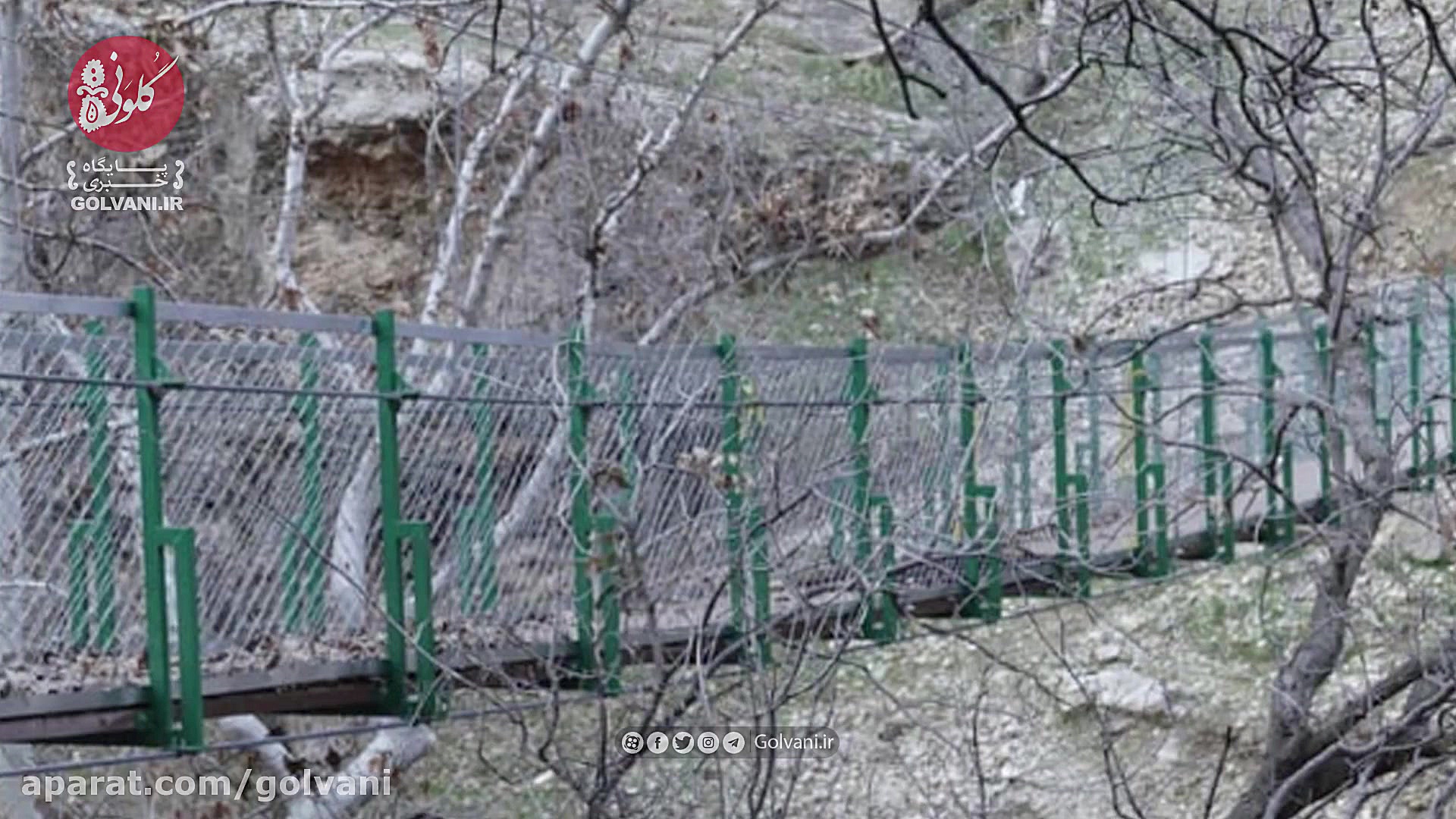 تنگه شیرز کوهدشت زخمی شد