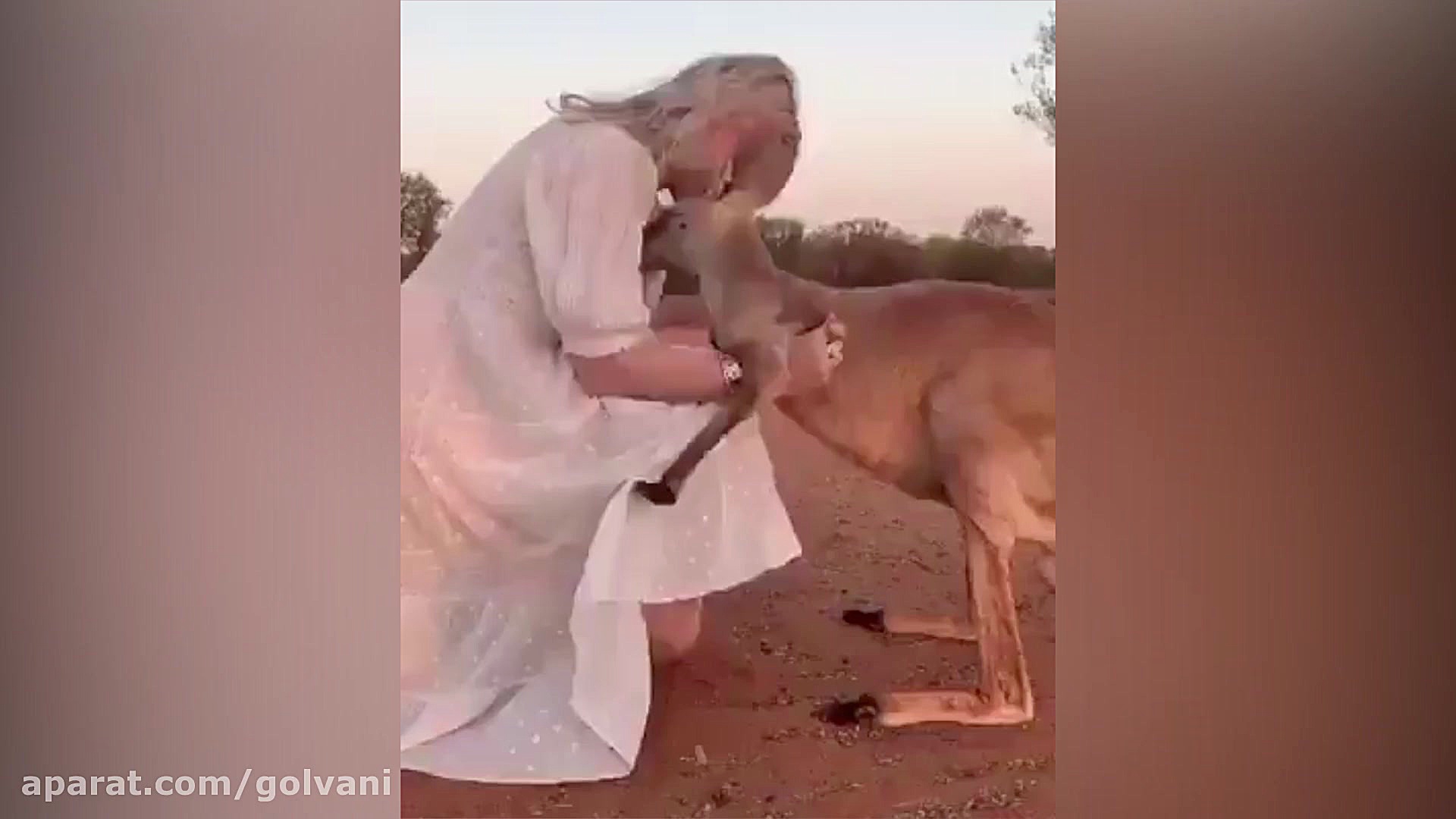 استرالیا اشک جهان را درآورد