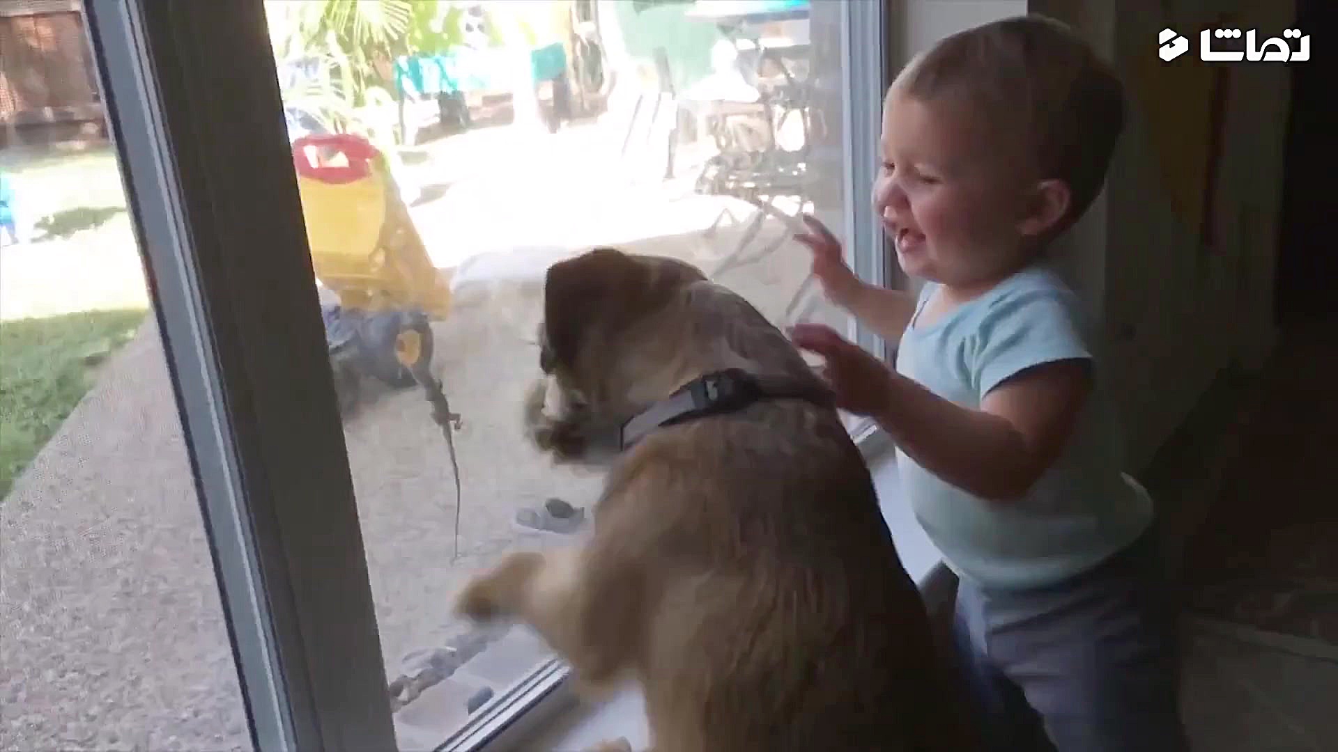 عکس العمل حیوانات خانگی با کود...