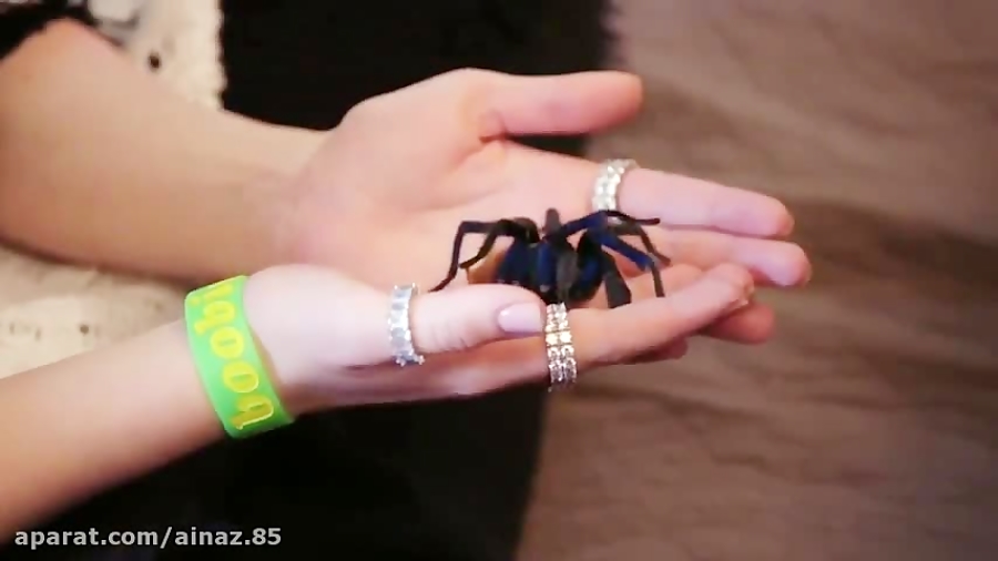 Billie eilish و یک ترسویی ک از...