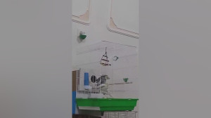عروس