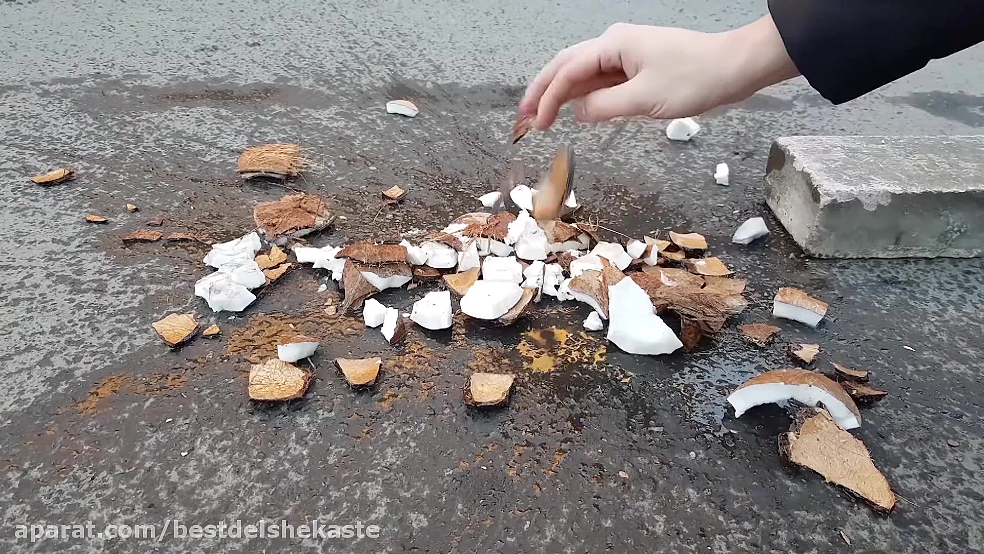 آزمایش Lava Vs Coconut  YouTub...