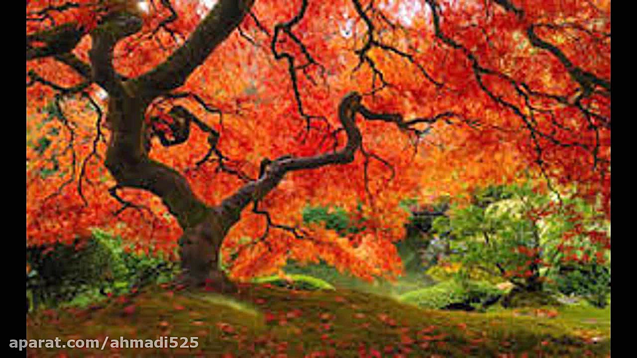 غزل 1 حافظ الا یا ایهاالساقی ....