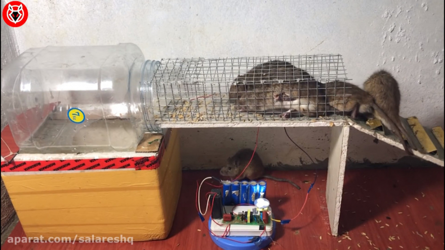 Funniest Electric Mouse Traps...