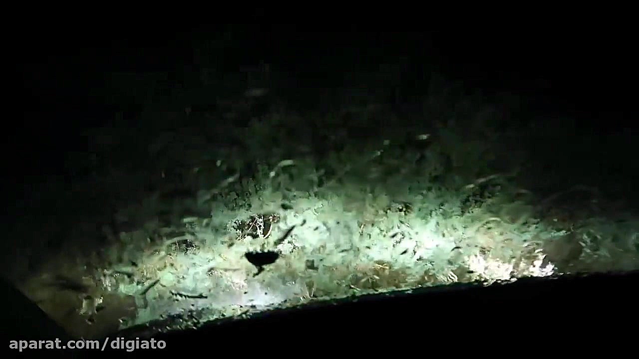 تصادف تسلا مدل 3 در حالت اتوپا...