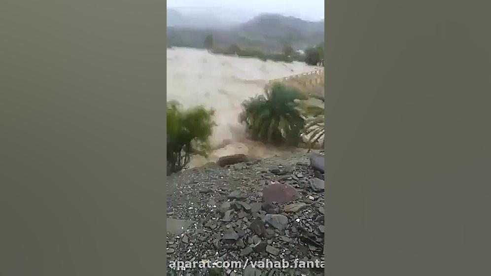 کلیپ دیگری از سیل سیستان بلوچس...