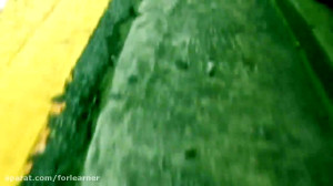 انیمیشن لاروا   قسمت 61