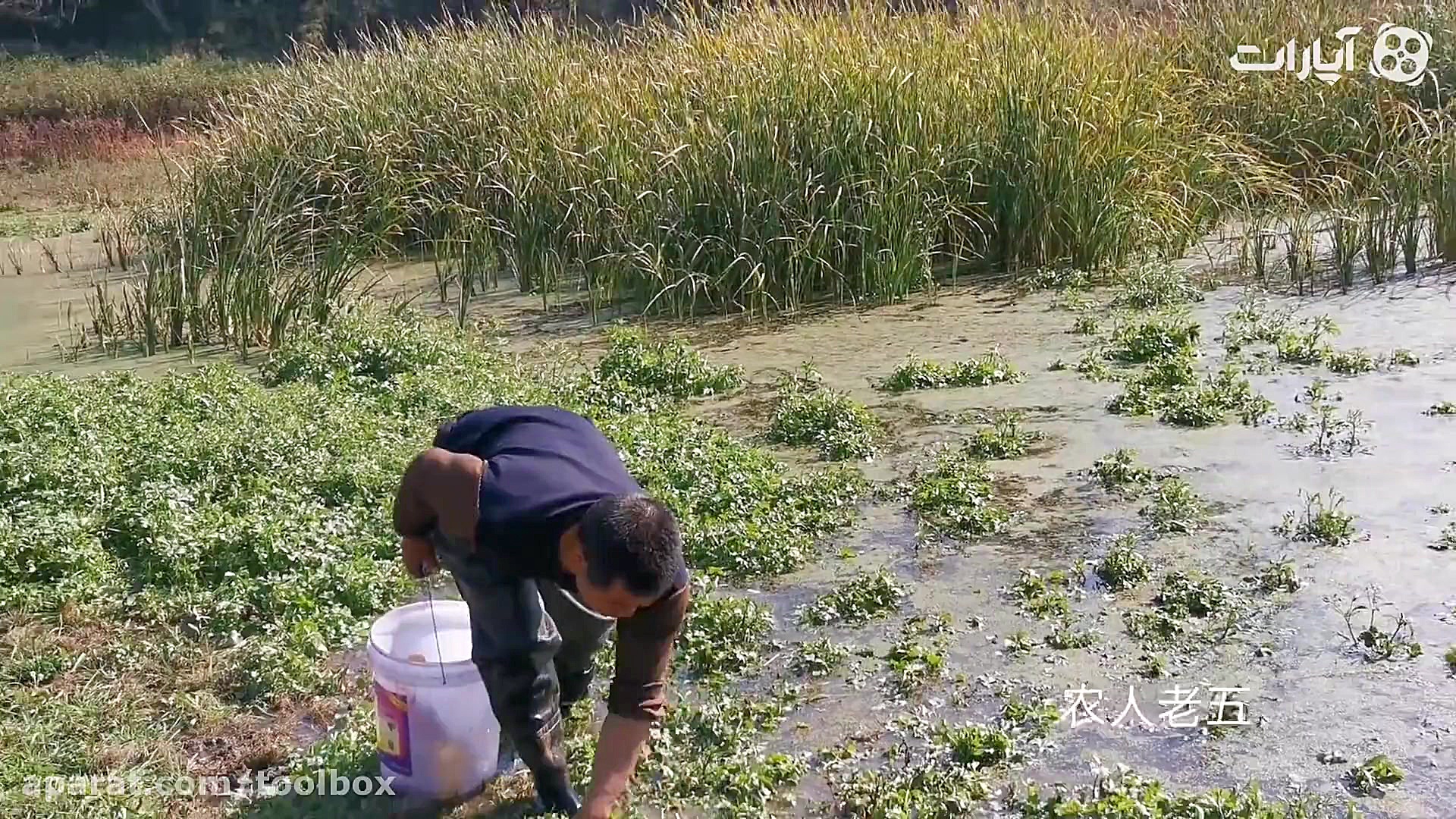 ماهیگیری با آبجو