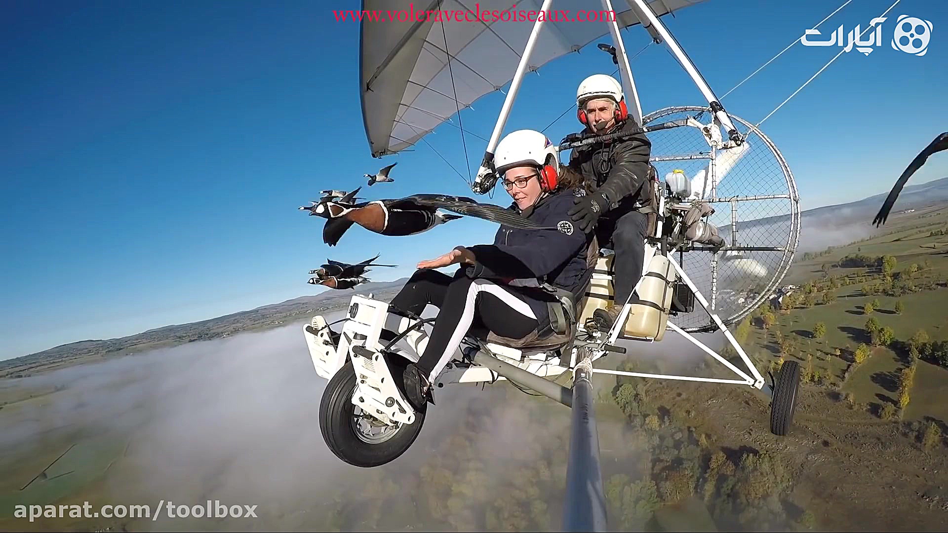 انسان تونست مثل پرندگان پرواز...