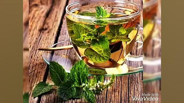 کافه باغ سالیز،کرج،فردیس