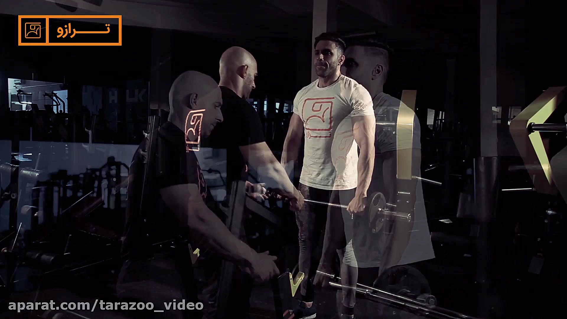 نشر از جلو با هالتر