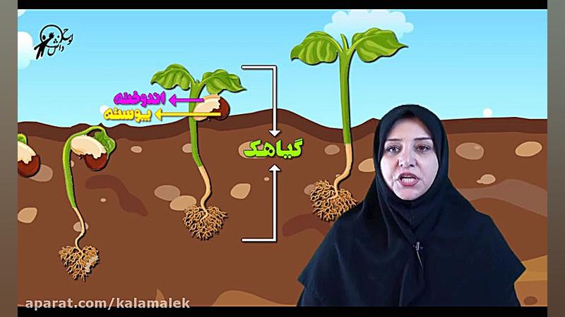 آموزش علوم دوم دبستان آزمایشگا...