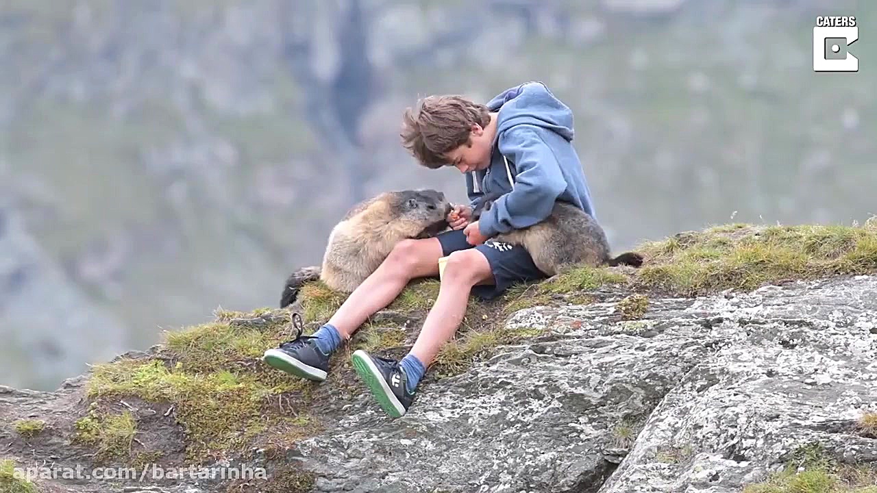 پیوند عجیب و عمیق پسربچه اتریش...