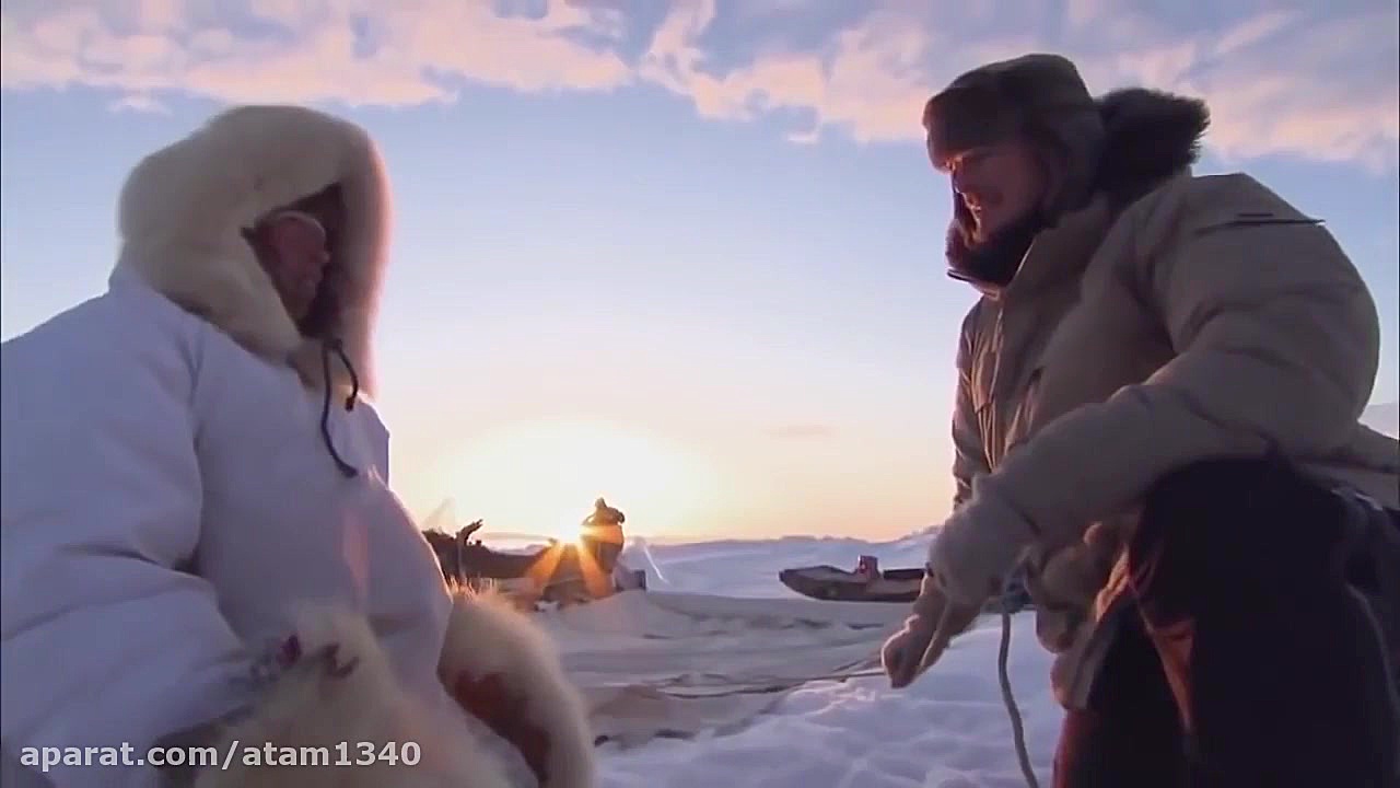 مستند حیاط وحش (قطب شمال و خرس...