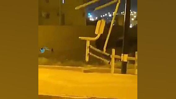 ورزش کردن اجنه یا ارواح در عرب...