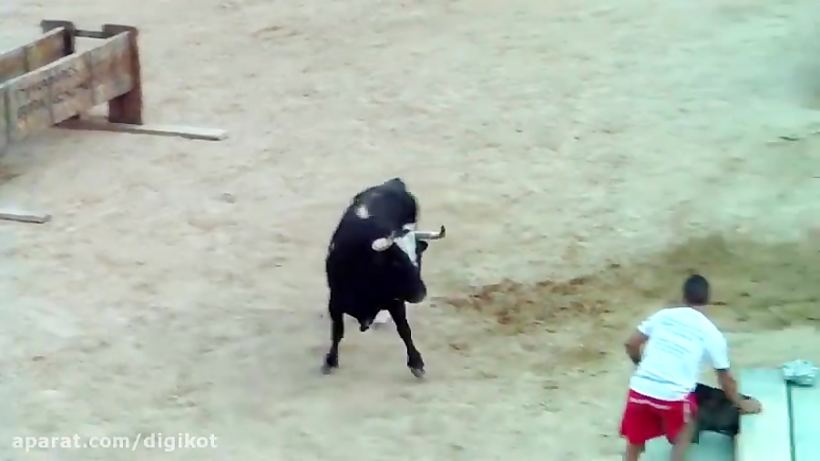 خطرناک ترین مسابقه گاوبازی مات...