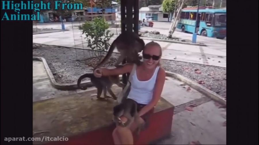 کلیپ خنده دار.... ایستگاه خنده