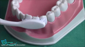 نحوه ی صحیح مسواک زدن