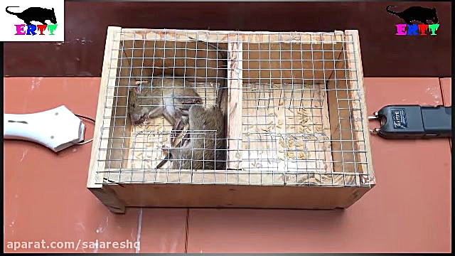 تله موش | تله موش برقی جدید وح...