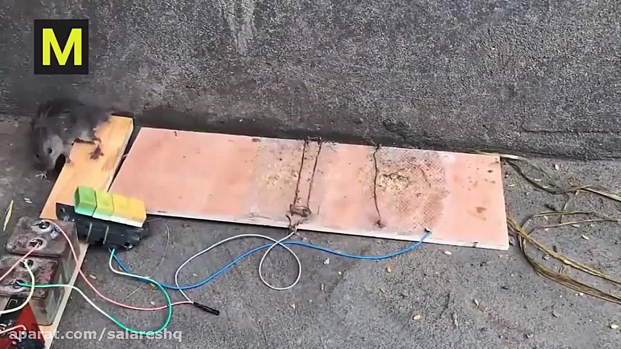 تله موش برقی جدید ترسناک خارق...