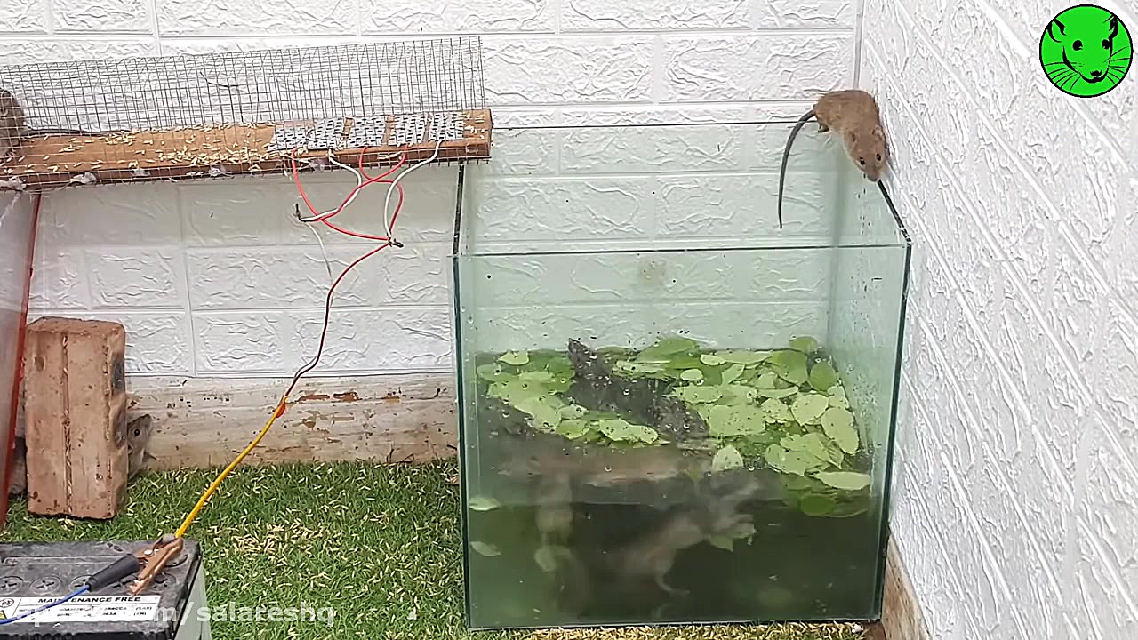 تله موش | تله موش برقی جدید وح...