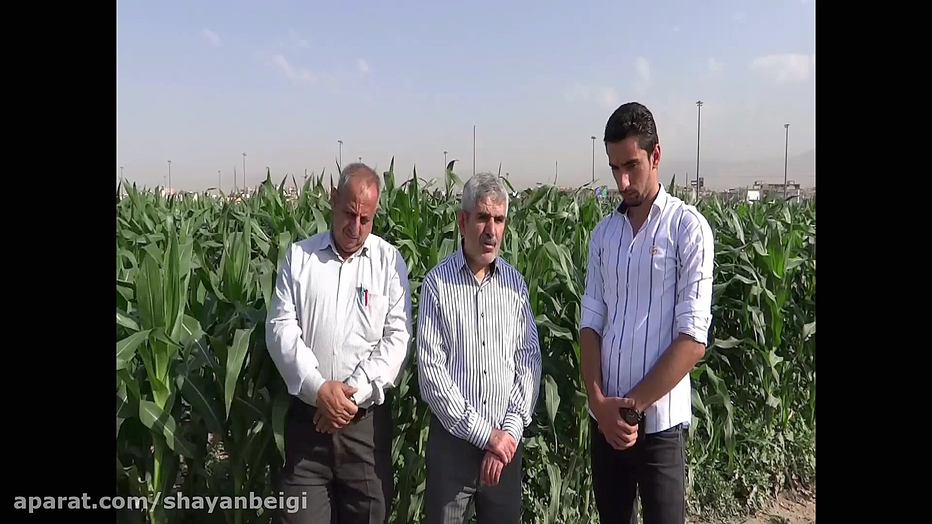 مستند مهارت آموزی(گفتگو اختصاص...