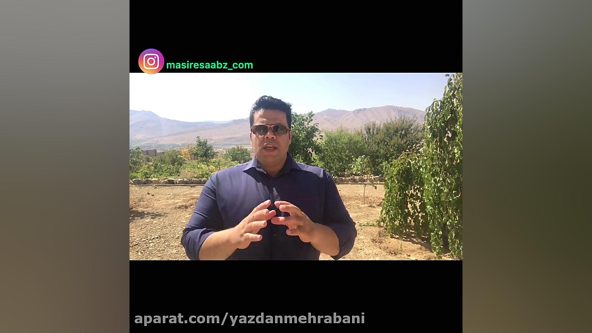 زندگیم داغونه، نمیتونم رو تربی...