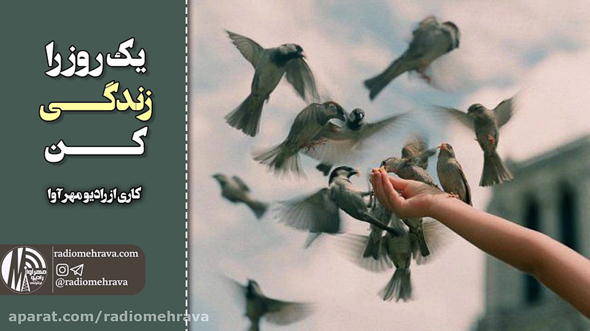 رادیو مهرآوا: یک روز زندگی کن