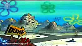 باب اسفنجی (کلاس اختاپوس)