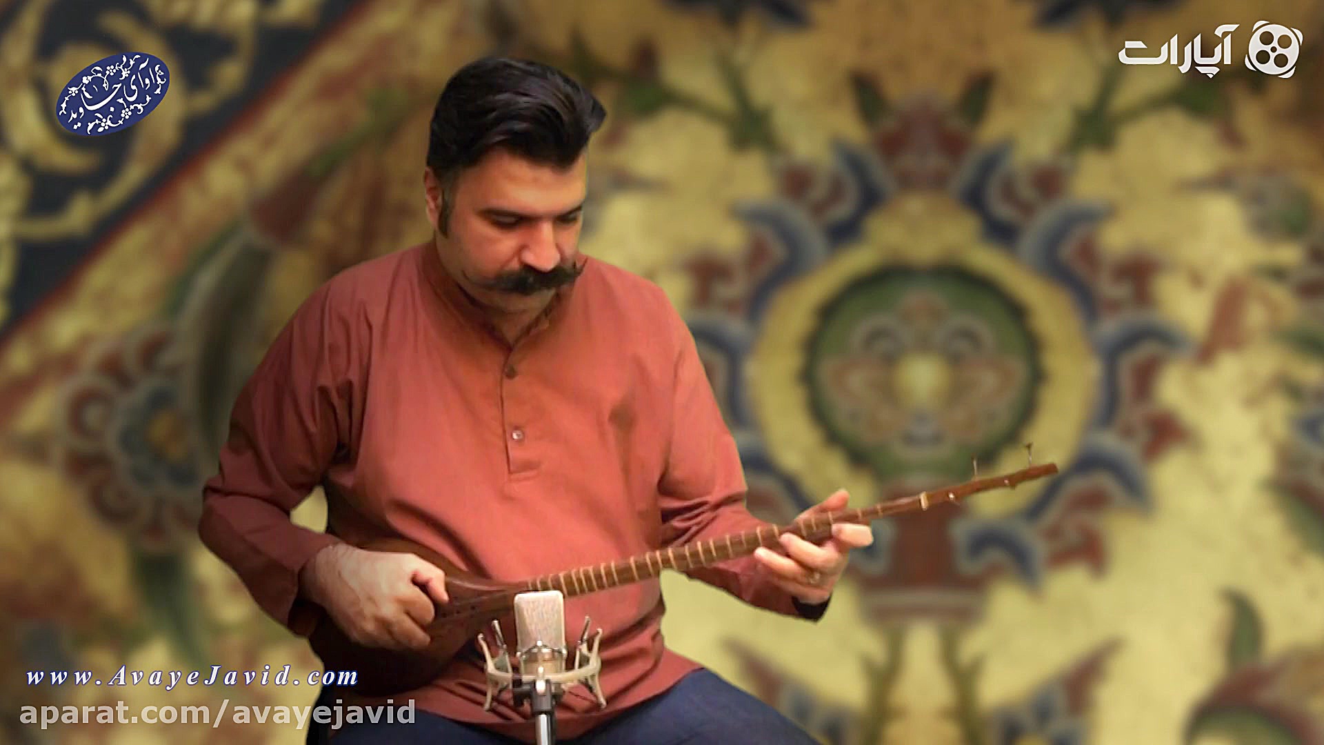 تکنوازی سه تار توسط مهدی قره خ...