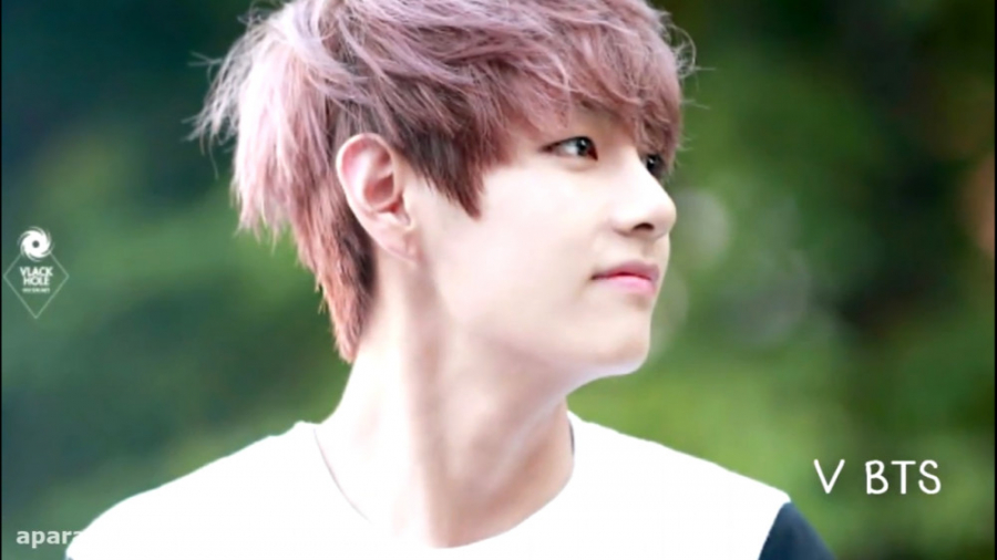 V ( BTS )  Funny Moments