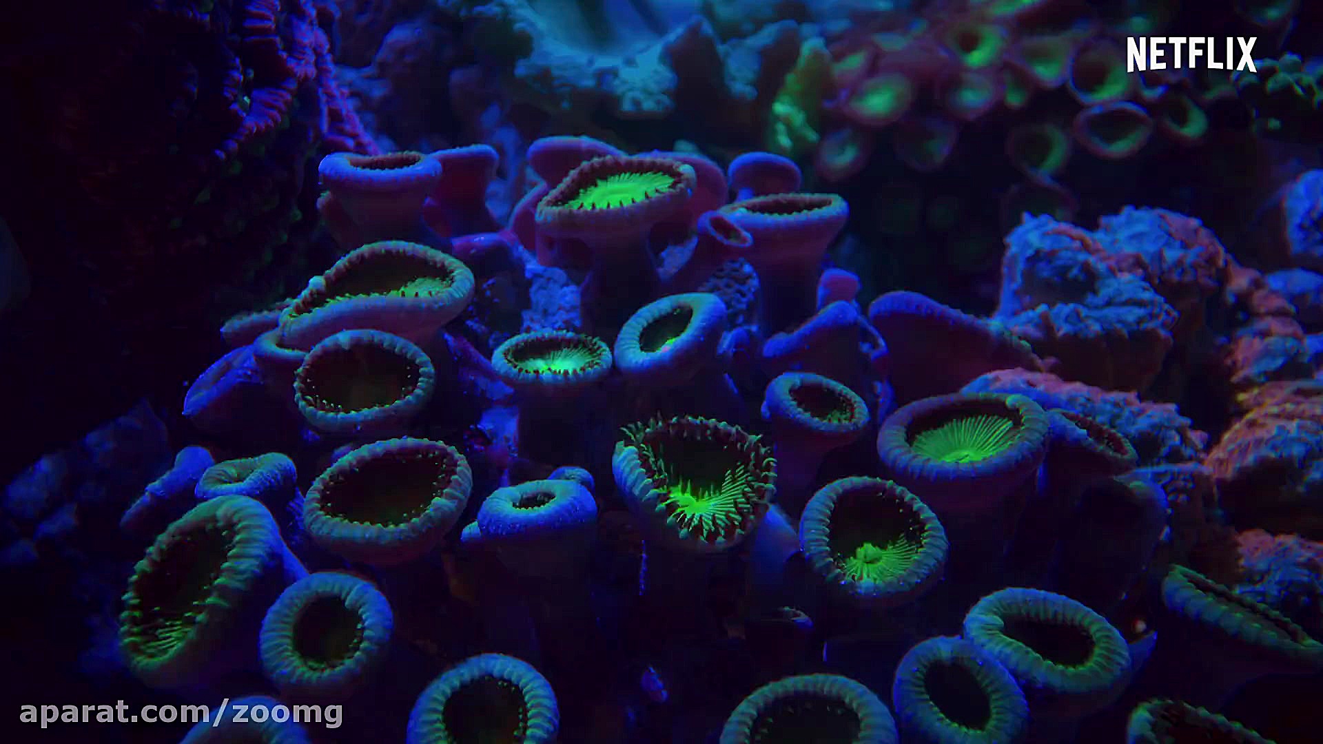 تریلر مستند Night on Earth