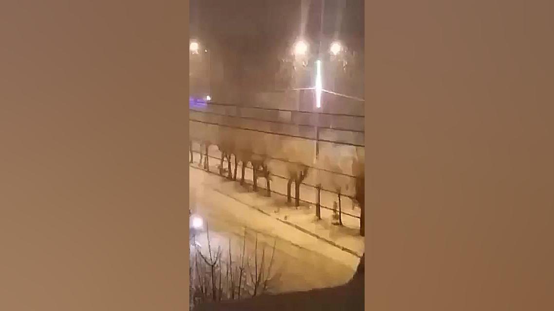 استوری خیابون برفی