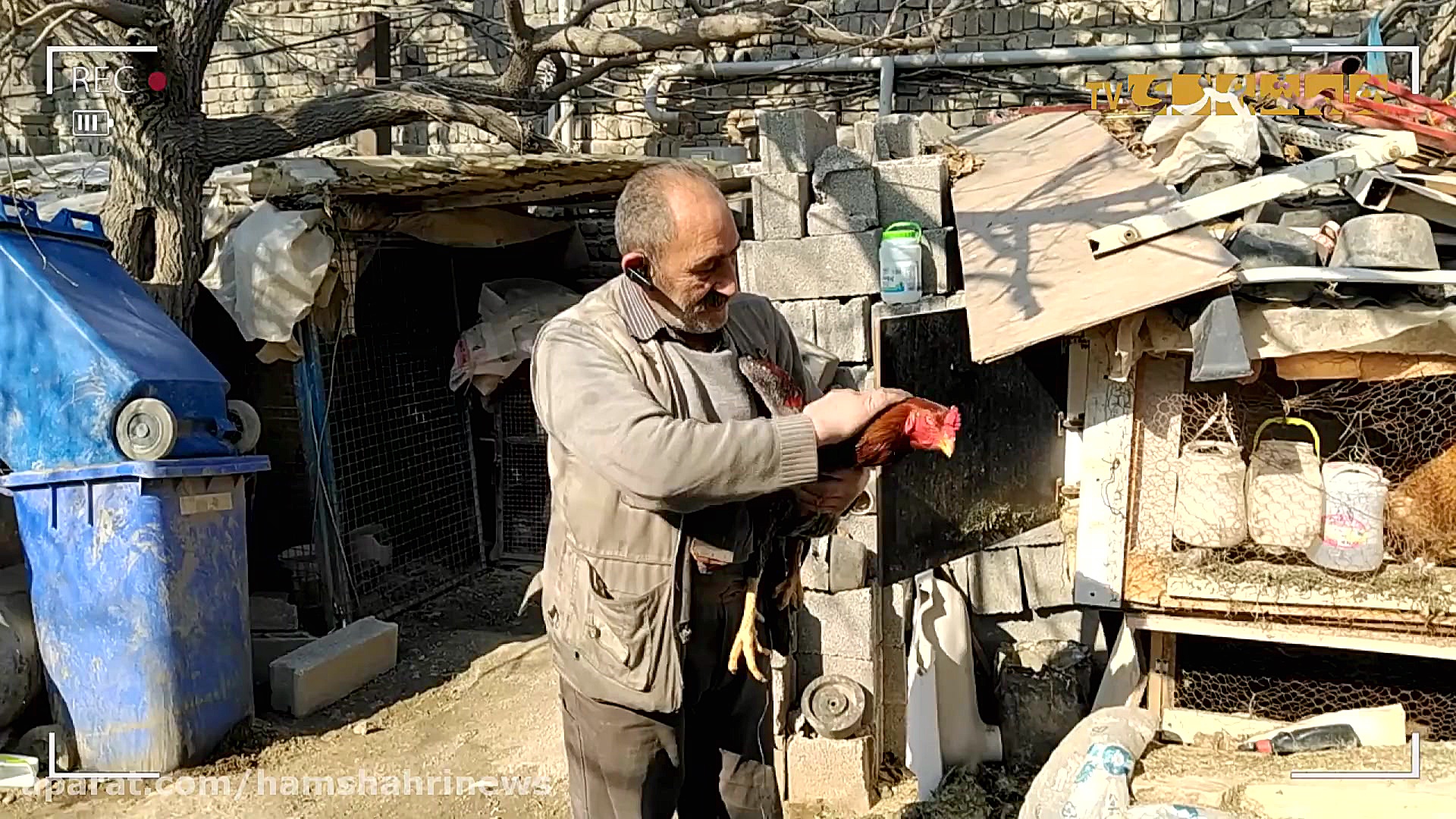 حاج علی؛ دامپزشك تجربی