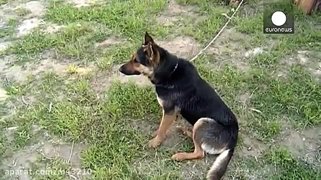 دستیابی داعش به سلاح های پیشرف...