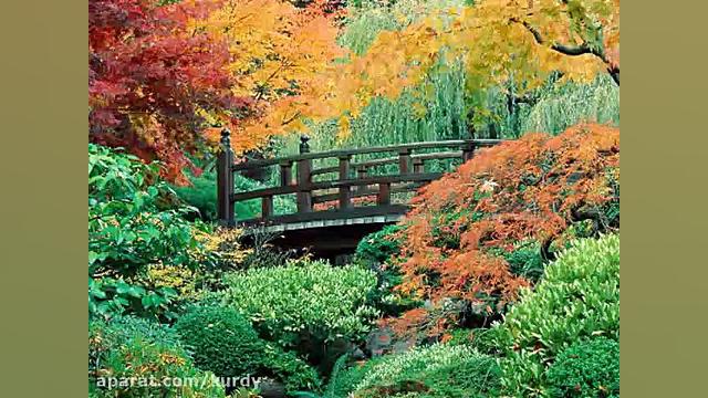 آهنگ کردی عاشقانه هوزان حسن شر...