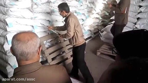 23 دی ماه 98 نمونه گیری بذر شل...