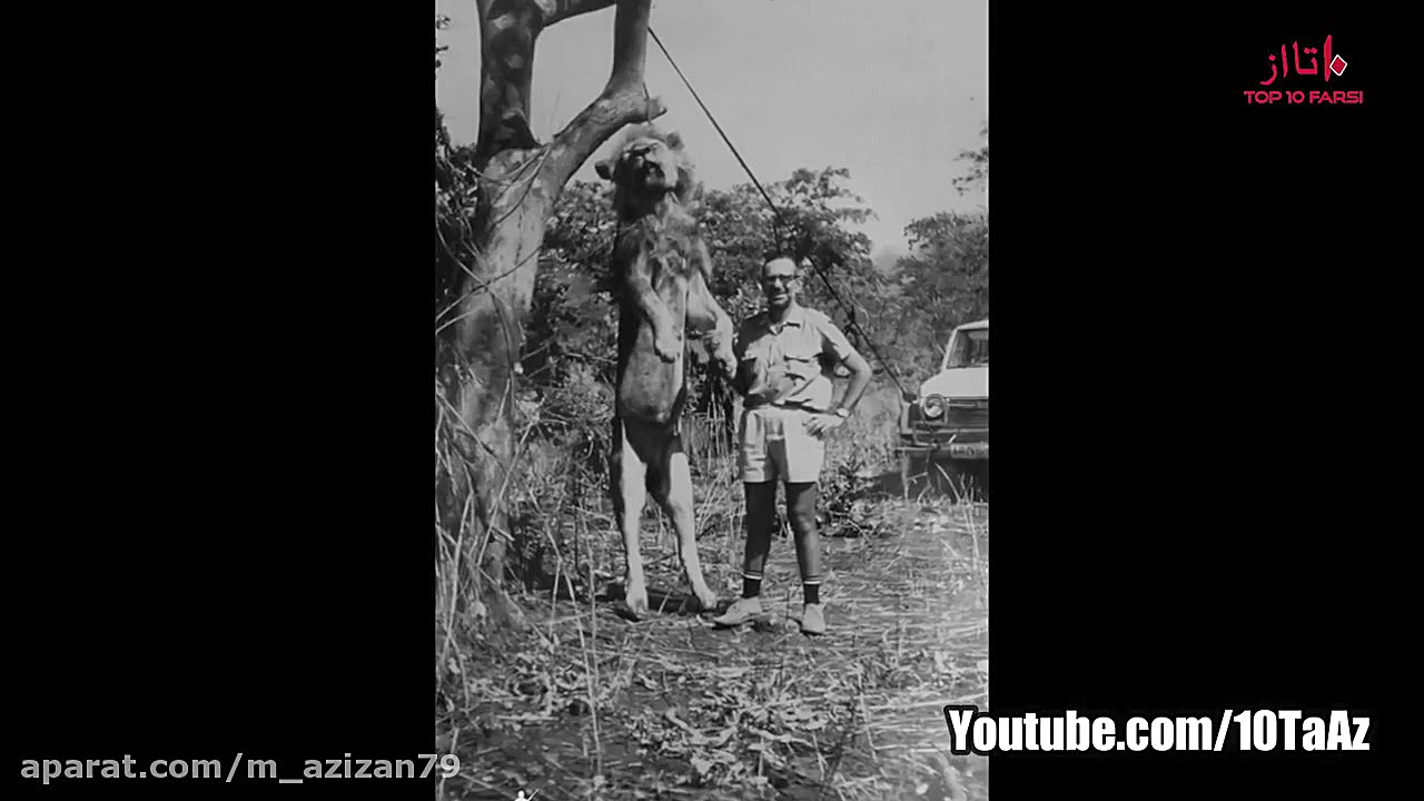 ۶ موجود مخوف و عجیب بر روی کره...