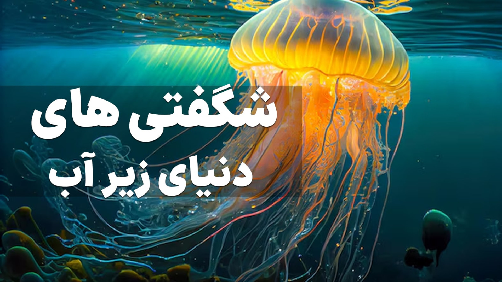 شگفتی های زیر آب