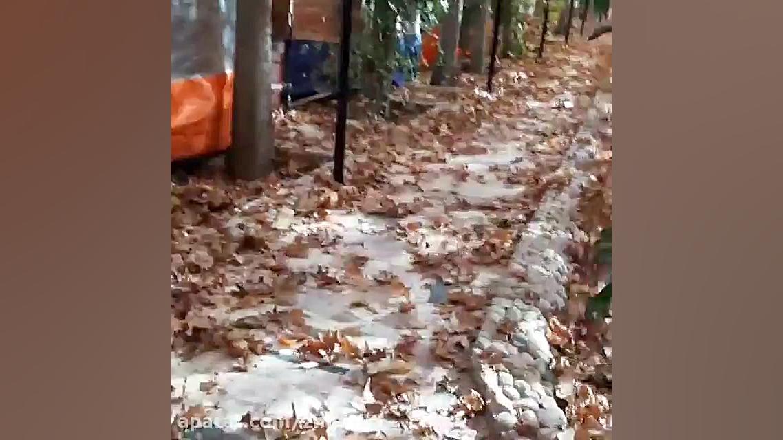 باغ رستوران لواسون