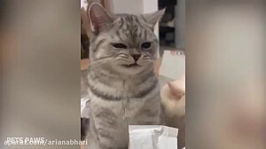 واکنش جالب حیوانات به آمپول
