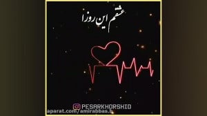 کلیپ عاشقانه  دلتنگی محمد علیز...